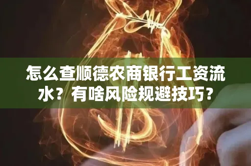 怎么查顺德农商银行工资流水？有啥风险规避技巧？