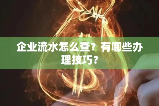 企业流水怎么查？有哪些办理技巧？