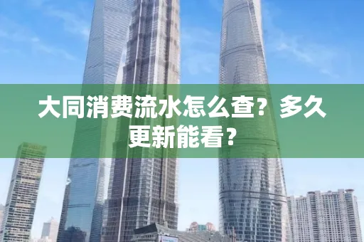 大同消费流水怎么查？多久更新能看？